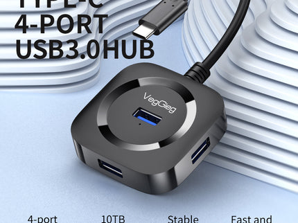 VegGieg Type-C to 4-Port USB Hub | USB 2.0 & USB 3.0 Options | 1m Cable | External Power Support | High-Speed Expansion VC341