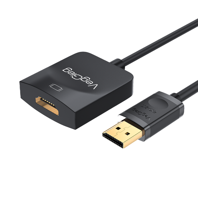 VegGieg DisplayPort (DP) to HDMI Adapter | 4K @ 30Hz | Gold-Plated Connector | Plug & Play | Compact Video Converter