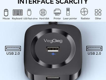 VegGieg 4-Port USB Hub | USB 2.0 & USB 3.0 Options | 1m Cable | External Power Support | High-Speed Data Transfer