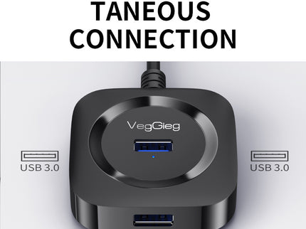 VegGieg Type-C to 4-Port USB Hub | USB 2.0 & USB 3.0 Options | 1m Cable | External Power Support | High-Speed Expansion VC341