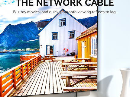 VegGieg USB-C to Ethernet Adapter | 100Mbps & 1000Mbps | Alloy Shell | Plug & Play | Type-C Network Solution