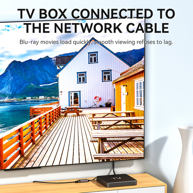 VegGieg USB-C to Ethernet Adapter | 100Mbps & 1000Mbps | Alloy Shell | Plug & Play | Type-C Network Solution