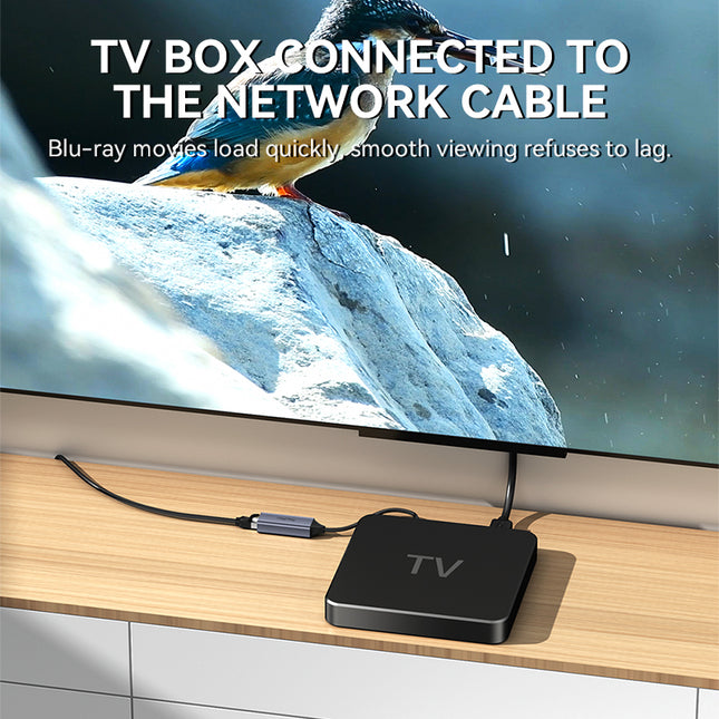 VegGieg USB to Ethernet Adapter | 100Mbps & 1000Mbps | Alloy Shell | Plug & Play | USB 2.0/3.0 Support