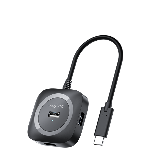 VegGieg Type-C to 4-Port USB Hub | USB 2.0 & USB 3.0 Options | 1m Cable | External Power Support | High-Speed Expansion VC341