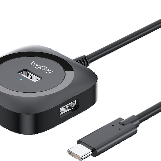 VegGieg Type-C to 4-Port USB Hub | USB 2.0 & USB 3.0 Options | 1m Cable | External Power Support | High-Speed Expansion VC341