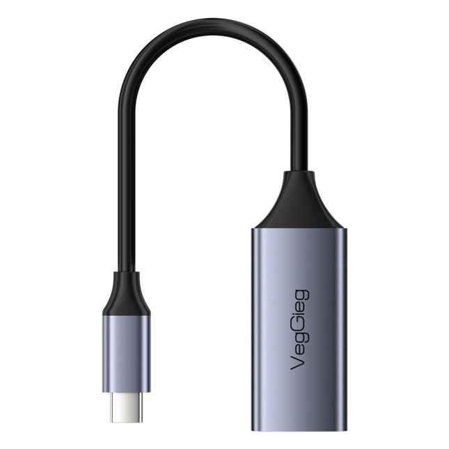 VegGieg USB-C to Ethernet Adapter | 100Mbps & 1000Mbps | Alloy Shell | Plug & Play | Type-C Network Solution